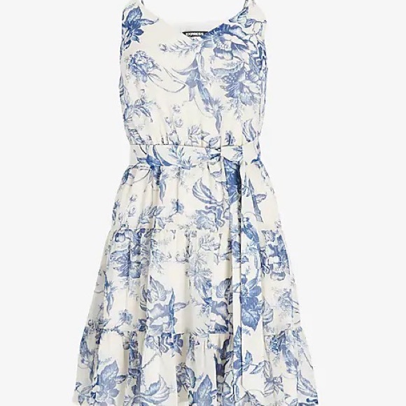 Dress from Express - Picture 11 of 14